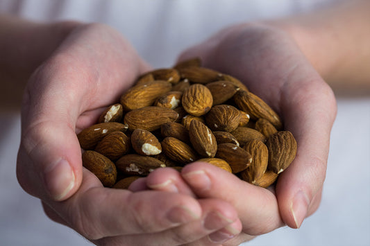 2DiE4: Die dunklen Seiten der Nüsse… von Schimmelpilzen und Aflatoxinen Banner